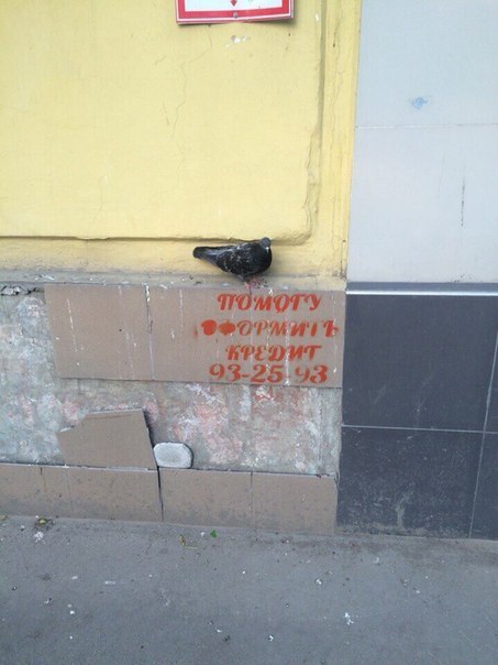 Подборка интересных и веселых фото