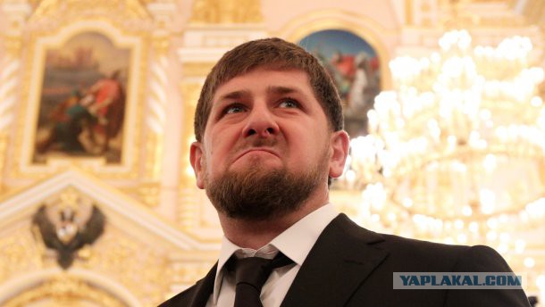Гадя уже не та