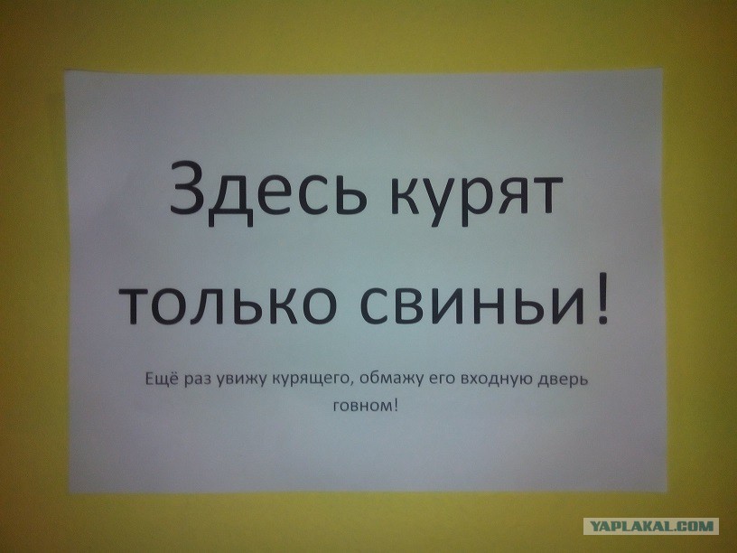 38 Лет Не Дрочил