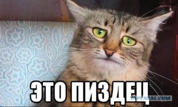 Житель Ангарска 6 раз перевел деньги мошенникам, хотя уже на пятый начал что-то подозревать