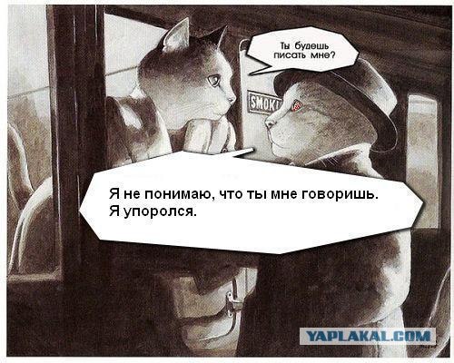 Да ты упоротый!