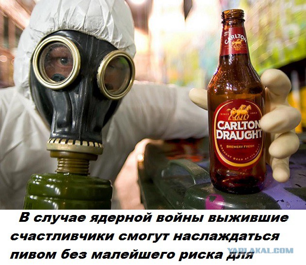 Подборка бесполезных фактов