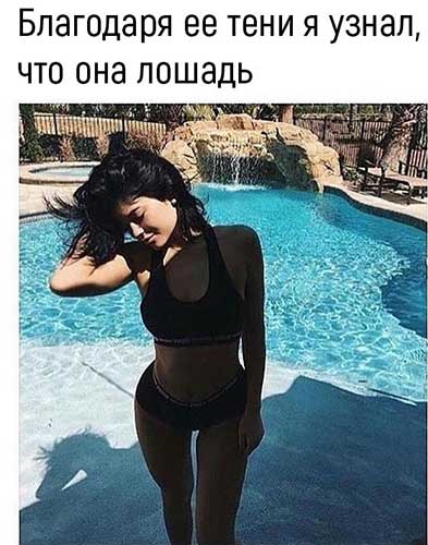 Анекдоты, истории и картинки с надписями