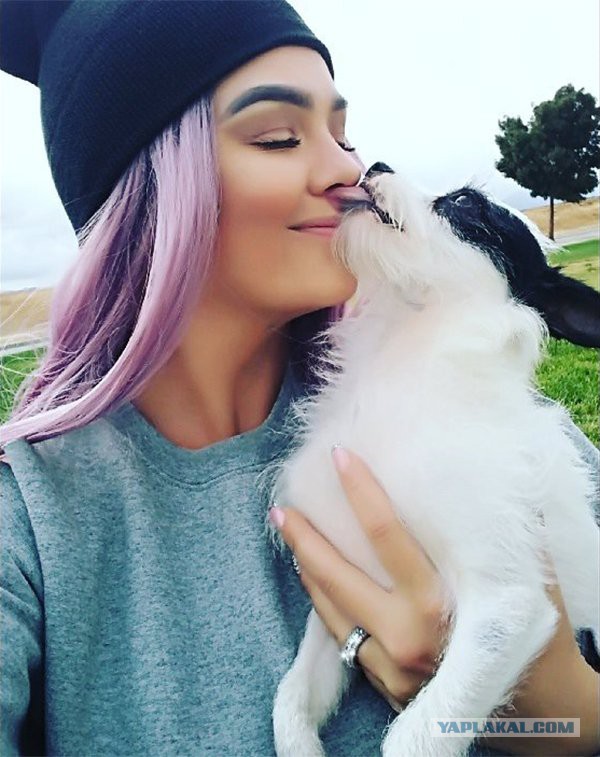 Подборка интересных и веселых картинок 30.06.2019
