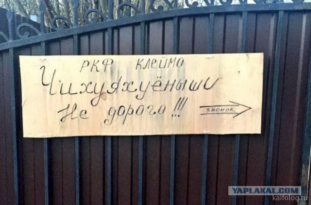 Россия изнутри