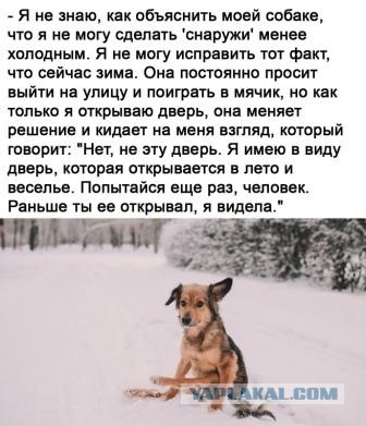 Юмор и прикольные картинки 04.12.2020