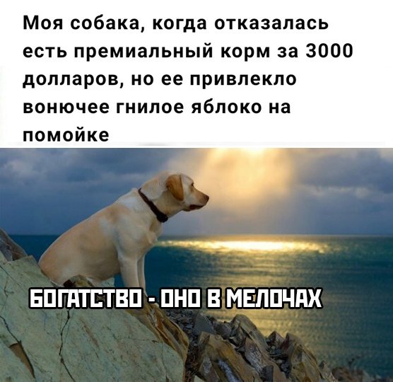 Картинки и мемы для настроения 019
