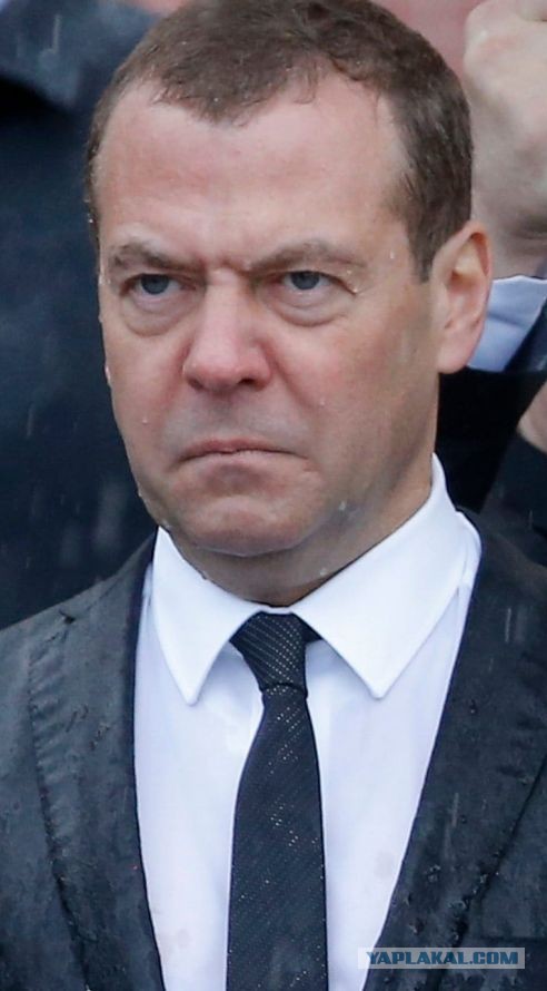 Астраханцев попросили убрать скот с маршрута проезда важного чиновника из Москвы