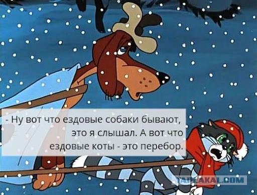 Средняя цена нового легкового автомобиля в России превысила 2 миллиона рублей