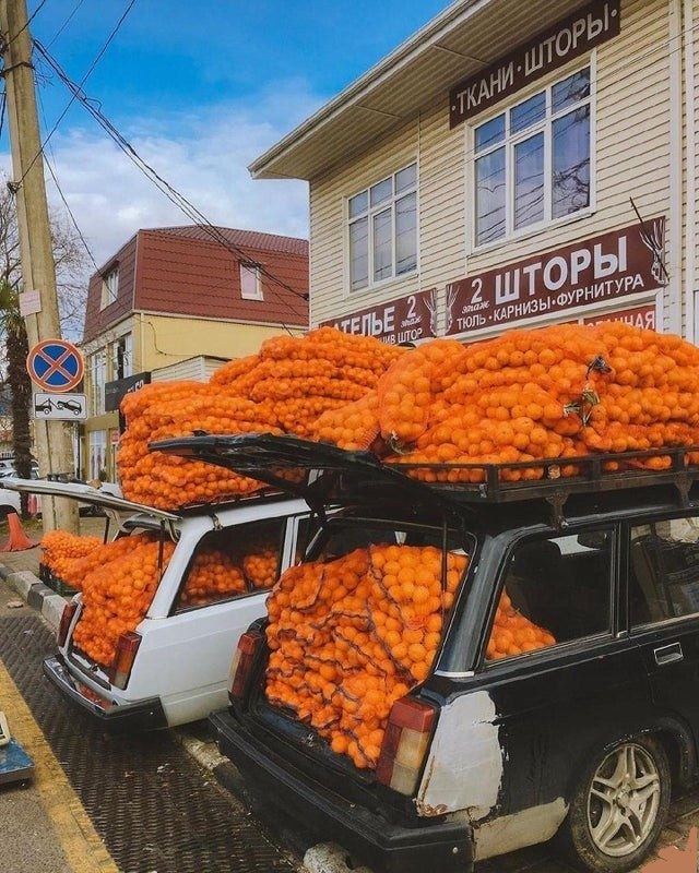 Новогодние и разные картинки
