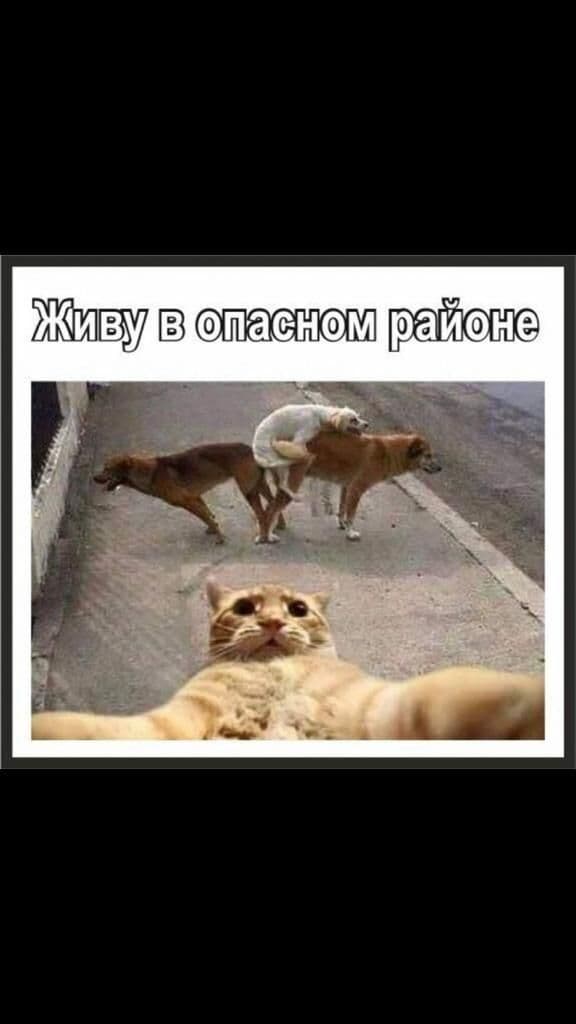 Чуток картинок 16.02.22