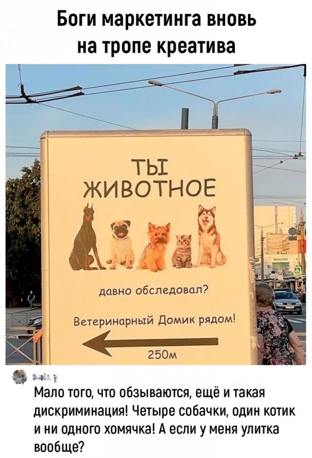 Картинки и мемы. Выходные близко, близко...