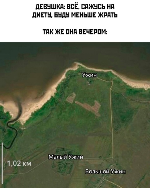 Картинки и мемы, всем хороших выходных
