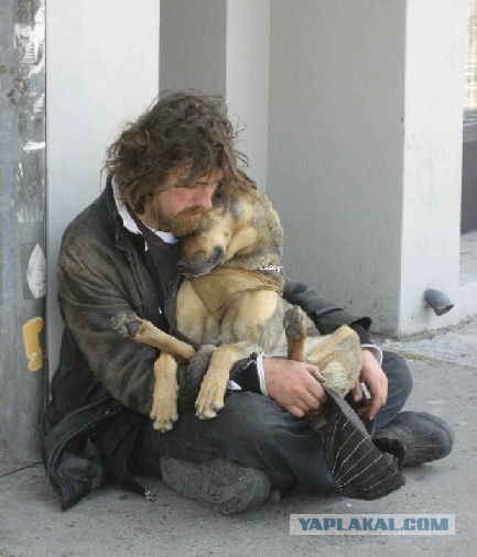 Как живут бедняки в глубинке США