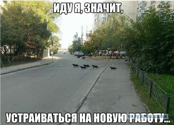 Всего понемногу. От 21.06.2024