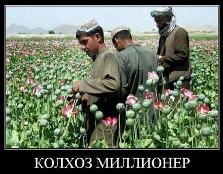 Пятничное улыбательное.