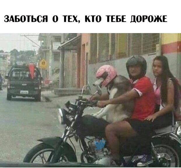Ударим дичью по бездорожью и разгильдяйству