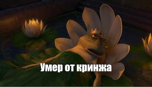 Господин Эрдоган