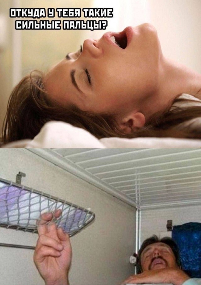20991566.jpg