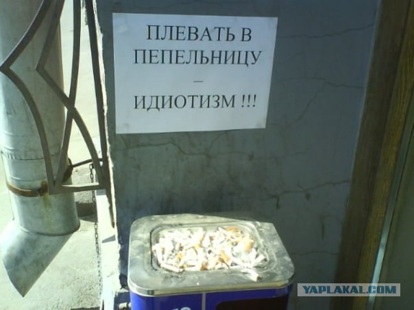 Что мы видим вокруг себя