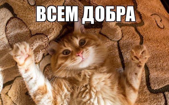 Смешные комментарии из социальных сетей 15.11.14