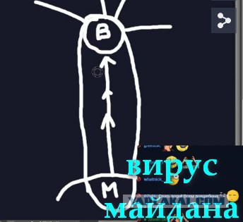 Эбола