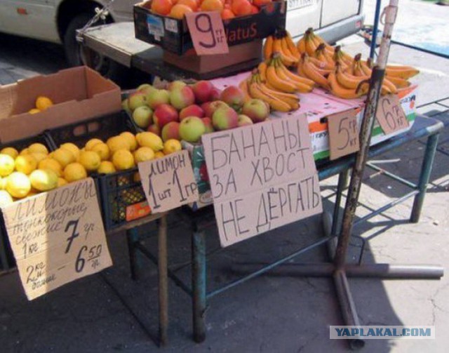 Народные перлы