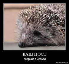 Как раскрыть ежика