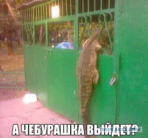Картинки на утро вторника