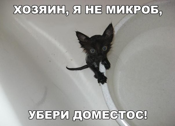 Всяко - разно...картинки