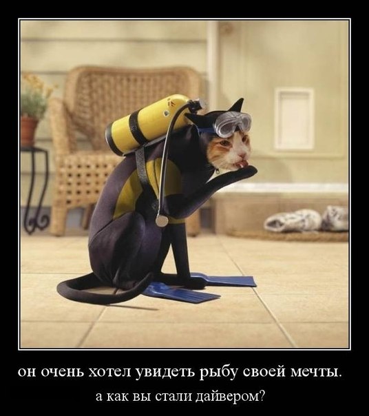 Вся правда о дайвинге!