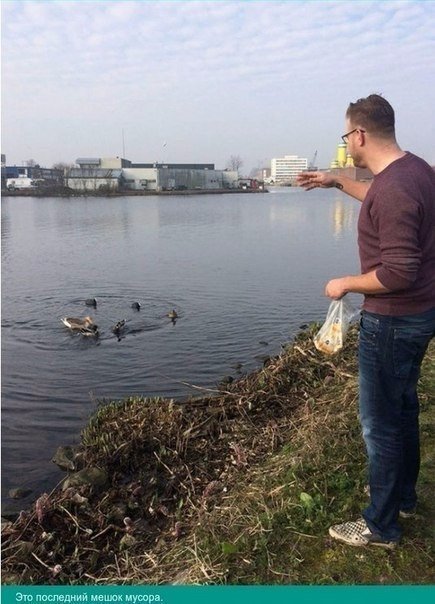 Подборка картинок из сети