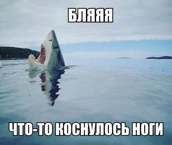 Фотоподборка