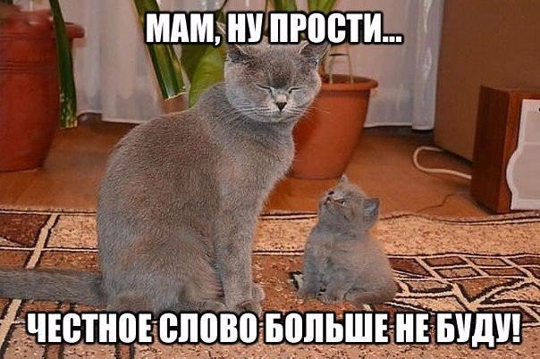 Мохнатые беспредельщики