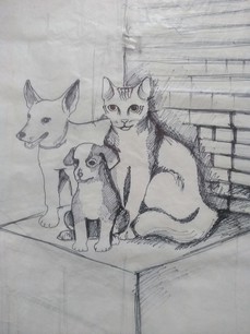 Живодерки из Хабаровска