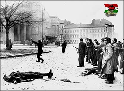 Фотографии к "Нахальному минированию" и "Лехе"