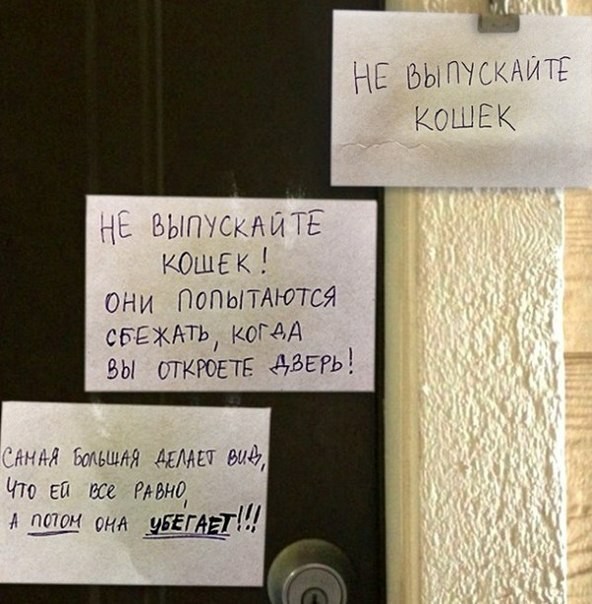 Подборка интересных и веселых картинок