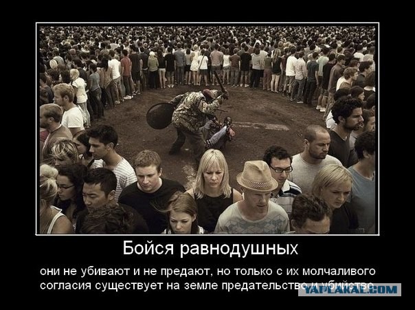 Полки добра и человеческая наглость
