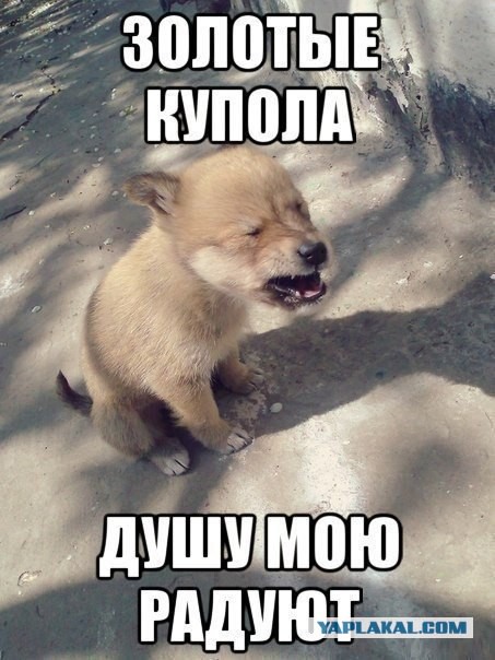 Немного деграданса - 3