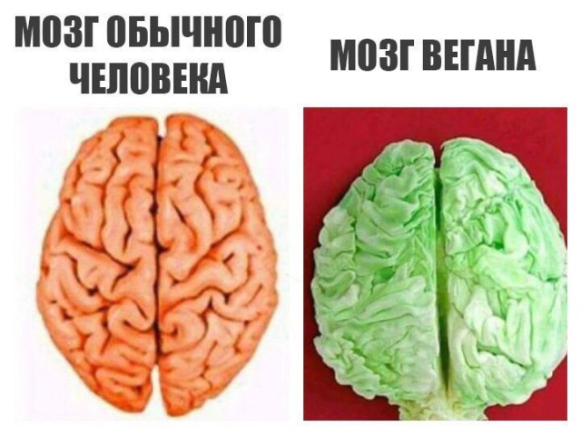 Веганка протащила по улице тушу свиньи в знак протеста