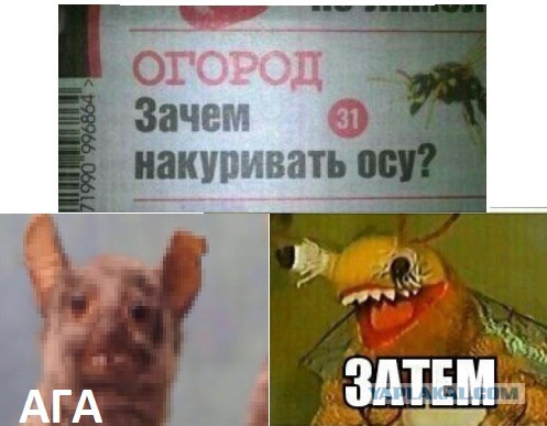Зачем Затем Мем