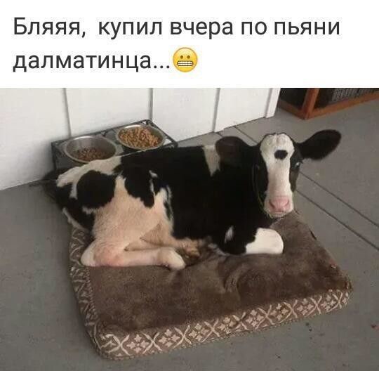 Немного картинок для настроения
