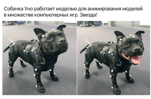 Немного картинок для настроения 26.01.20
