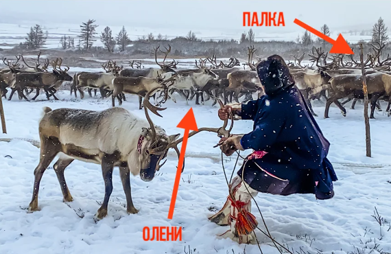Как устроен туалет и душ у оленеводов в тундре