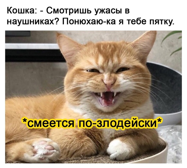 Картинки с надписями и всякие жизненные фразы 31.05.21
