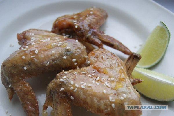 Ноги, хвосты… главное – крылья!, Кура-International–2, куриные крылья