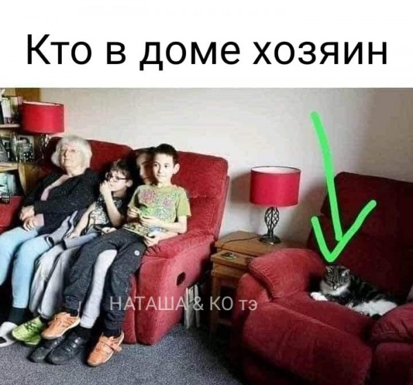 Пятница. Вечер. Картинки всякие... #4