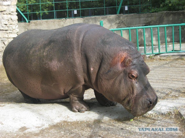 Я люблю Казань!