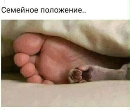 Это был тяжелый год