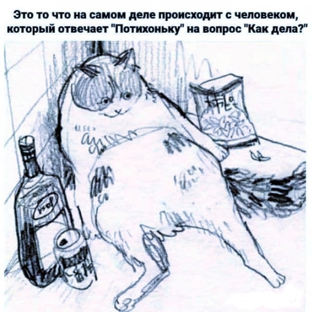 Картинки и мемы, всем хороших выходных